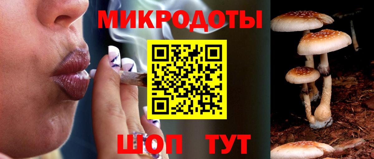 Псилоцибиновые грибы прущие грибы  Вход с VPN  Ртищево 